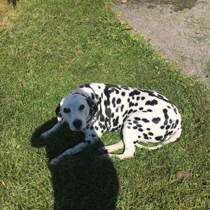 Meet your Posher, Kristen